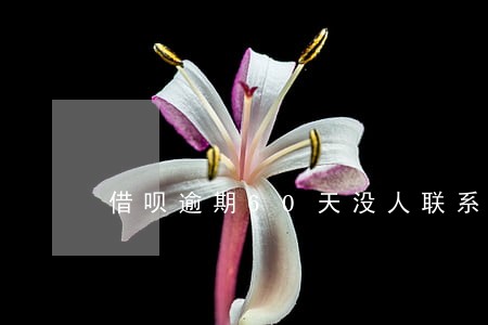 借呗逾期60天没人联系 借呗逾期60天没人联系
