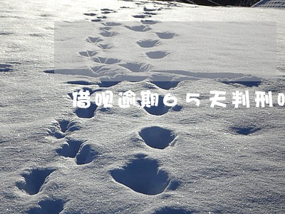 借呗逾期65天判刑吗 借呗逾期65天判刑吗