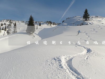 借呗逾期65天当地说要上门 借呗逾期65天当地说要上门