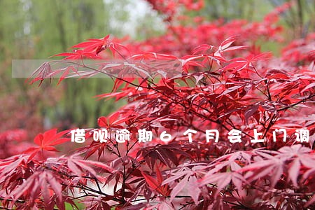 借呗逾期6个月会上门调查吗 借呗逾期6个月会上门调查吗