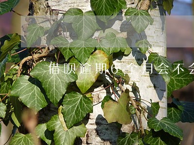 借呗逾期6个月会不会关闭淘宝 借呗逾期6个月会不会关闭淘宝