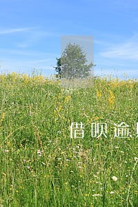 借呗逾期6个月后果 借呗逾期6个月后果