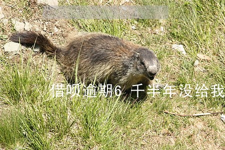 借呗逾期6千半年没给我打电话 借呗逾期6千半年没给我打电话