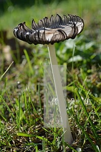 借呗逾期6天会咋样 借呗逾期6天会咋样