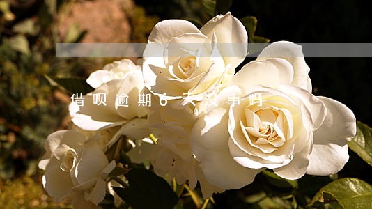 借呗逾期6天没事吗 借呗逾期6天没事吗