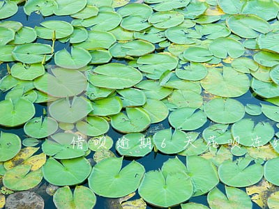 借呗逾期6天花呗冻结了 借呗逾期6天花呗冻结了