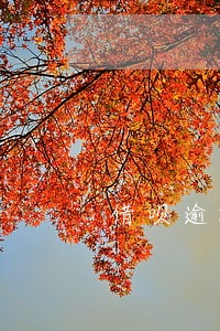借呗逾期6天要罚息吗 借呗逾期6天要罚息吗