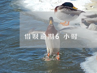 借呗逾期6小时 借呗逾期6小时