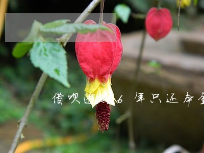 借呗逾期6年只还本金可以吗 借呗逾期6年只还本金可以吗