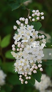 借呗逾期6次能办房贷吗 借呗逾期6次能办房贷吗