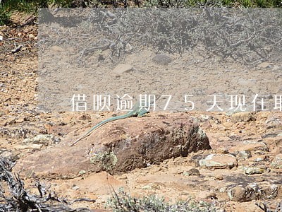 借呗逾期75天现在取消分期 借呗逾期75天现在取消分期