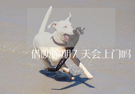 借呗逾期7天会上门吗 借呗逾期7天会上门吗