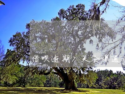 借呗逾期7天会爆通讯录吗 借呗逾期7天会爆通讯录吗