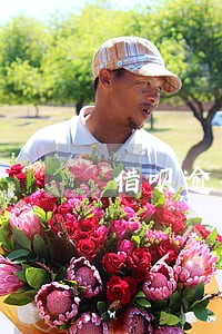 借呗逾期7天打电话来了 借呗逾期7天打电话来了
