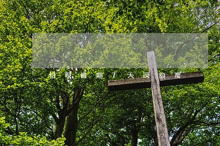 借呗逾期7天没额度 借呗逾期7天没额度