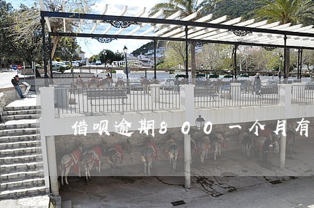 借呗逾期800一个月有多少钱 借呗逾期800一个月有多少钱