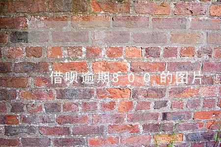 借呗逾期800的图片
