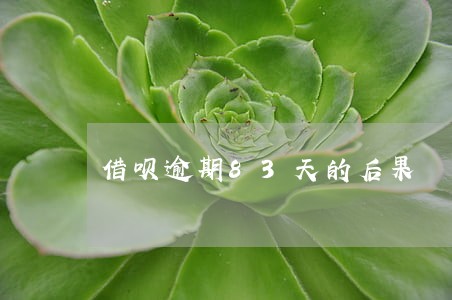 借呗逾期83天的后果 借呗逾期83天的后果