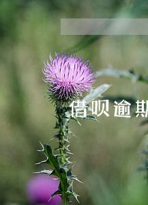 借呗逾期8万案例 借呗逾期8万案例