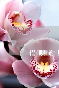 借呗逾期8万真的吗 借呗逾期8万真的吗