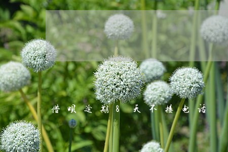 借呗逾期8天不接电话 借呗逾期8天不接电话