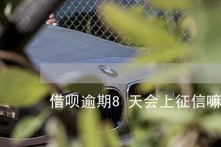 借呗逾期8天会上征信嘛 借呗逾期8天会上征信嘛