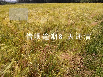 借呗逾期8天还清 借呗逾期8天还清