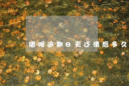 借呗逾期8天还清后多久可以用 借呗逾期8天还清后多久可以用