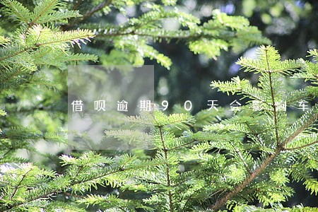 借呗逾期90天会影响车贷款吗 借呗逾期90天会影响车贷款吗