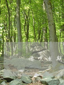 借呗逾期90天会怎样