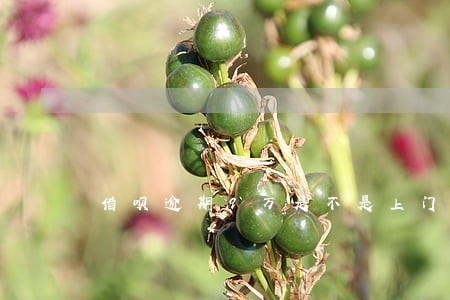 借呗逾期9万是不是上门来要钱 借呗逾期9万是不是上门来要钱