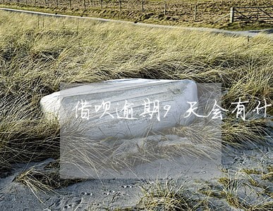 借呗逾期9天会有什么 借呗逾期9天会有什么