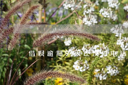 借呗逾期9天还没打电话 借呗逾期9天还没打电话