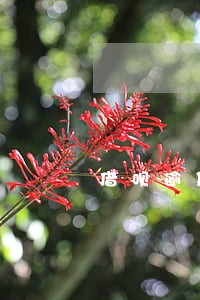 借呗逾期9小时会怎样 借呗逾期9小时会怎样