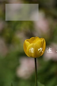 借呗逾期9小时后果 借呗逾期9小时后果