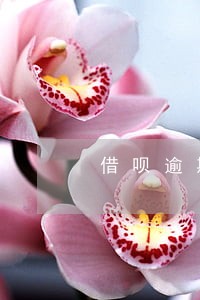 借呗逾期一万3的图片 借呗逾期一万3的图片