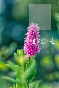 借呗逾期一天对信用度有影响吗 借呗逾期一天对信用度有影响吗