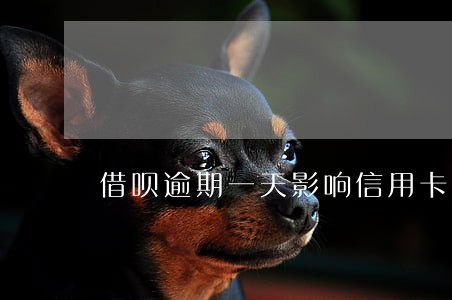 借呗逾期一天影响信用卡吗 借呗逾期一天影响信用卡吗