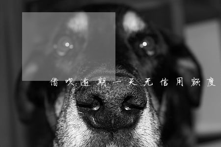 借呗逾期一天无信用额度了 借呗逾期一天无信用额度了