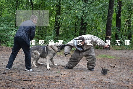 借呗逾期一天显示暂无信用额度