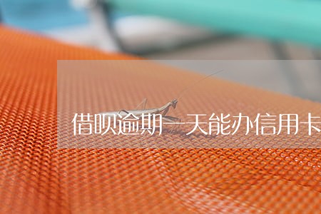 借呗逾期一天能办信用卡吗