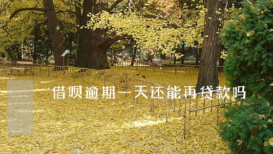 借呗逾期一天还能再贷款吗 借呗逾期一天还能再贷款吗