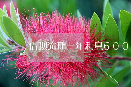 借呗逾期一年利息6000多 借呗逾期一年利息6000多
