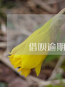 借呗逾期一年半罚息8百多 借呗逾期一年半罚息8百多