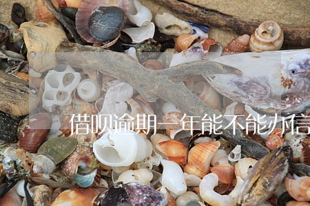 借呗逾期一年能不能办信用卡 借呗逾期一年能不能办信用卡