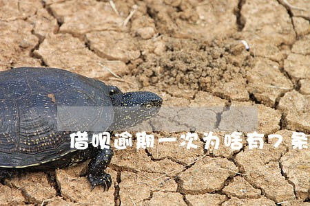 借呗逾期一次为啥有7条记录