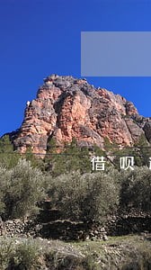 借呗逾期一次芝麻信用分 借呗逾期一次芝麻信用分