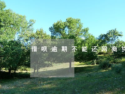 借呗逾期不能还网商贷 借呗逾期不能还网商贷
