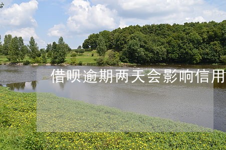 借呗逾期两天会影响信用卡吗 借呗逾期两天会影响信用卡吗