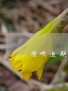 借呗逾期两天影响网商贷 借呗逾期两天影响网商贷